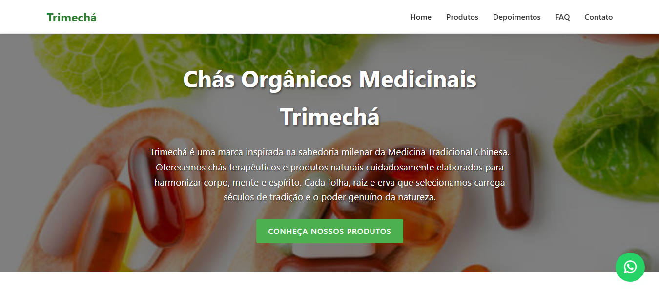 Projeto 1